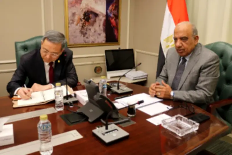 وزير الكهرباء يبحث مع China Energy وEPPEI تعزيز دمج الطاقة المتجددة