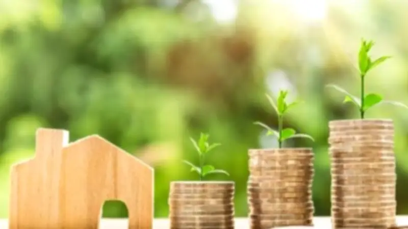 ضوابط إصدار الموافقات والتصاريح والتراخيص الاستثمارية في قانون الاستثمار الجديد