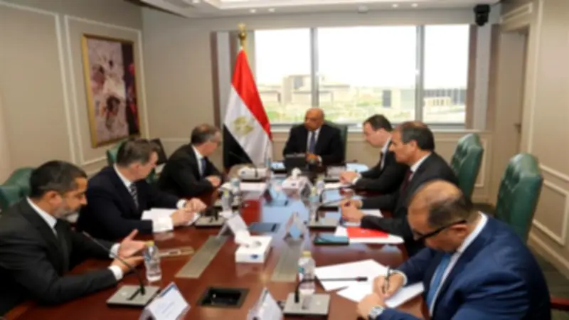 تعاون بين الكهرباء والبنك الأوروبي لدعم الشبكة الموحدة وتعزيز قدراتها