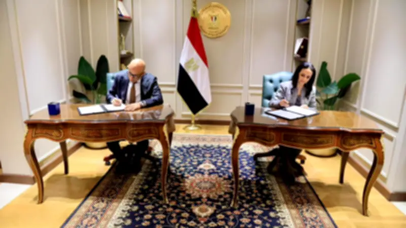 تعاون بين التضامن والتعليم لترخيص ومتابعة قاعات الحضانة بالمدارس الخاصة والدولية