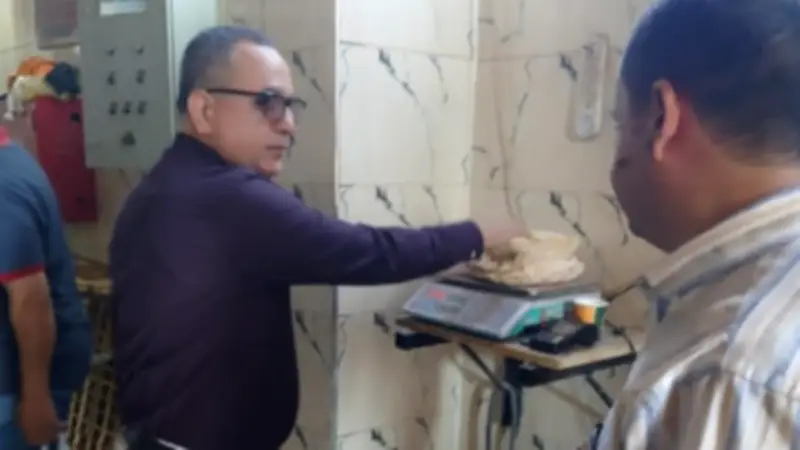 ضبط 3 عبوات أكسيد التيتانيوم في عصارات وتحرير 172 مخالفة بالدقهلية