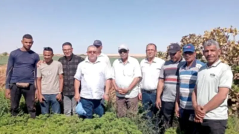 وكيل زراعة الوادي الجديد يتفقد حصاد العتر ويؤكد أهمية النباتات الطبية