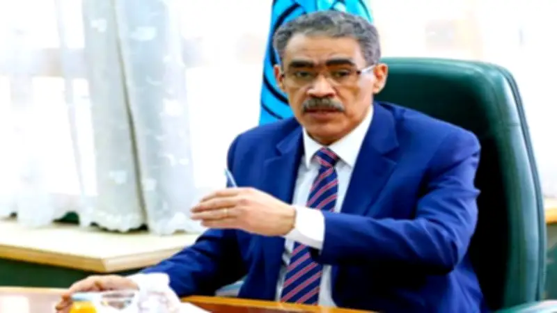 ضياء رشوان: التحركات المصرية والعربية أسهمت في رفض تهجير الفلسطينيين