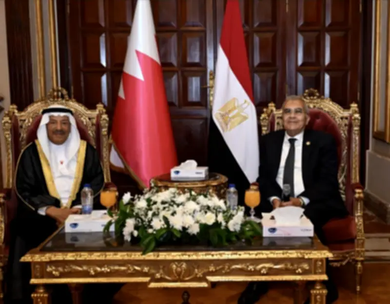 مصر تؤكد وقوفها الدائم إلى جانب البحرين في مواجهة التهديدات