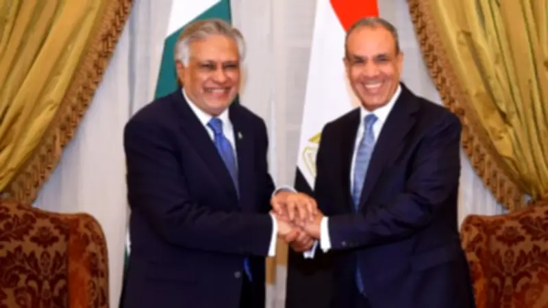 مصر وباكستان تبحثان تعزيز التعاون الاقتصادي والاستثماري
