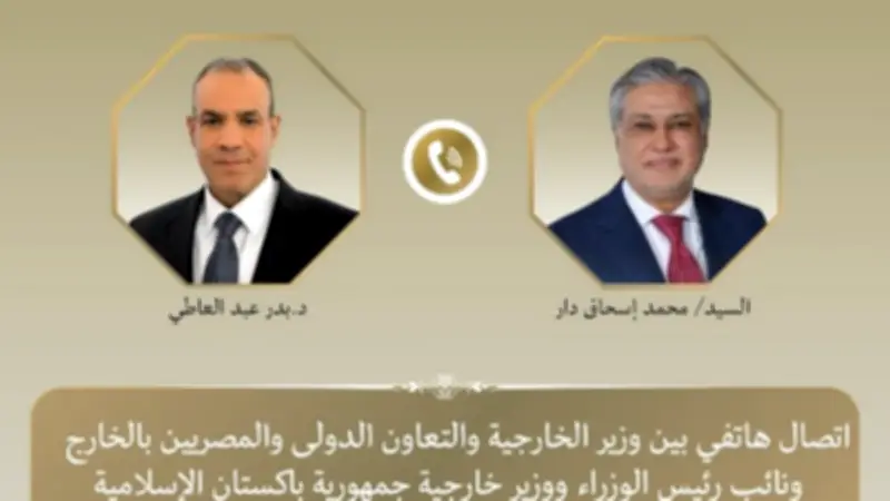 وزيرا خارجية مصر وباكستان يؤكدان أهمية تنفيذ مذكرة التفاهم الأمريكية-الإيرانية