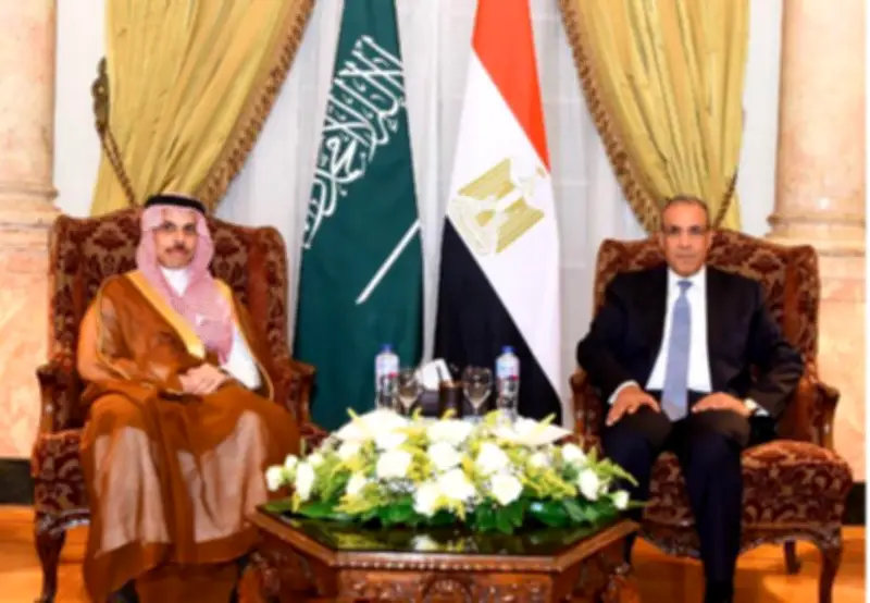 وزيرا خارجية مصر والسعودية يؤكدان الحرص المشترك على مواصلة التنسيق والتشاور