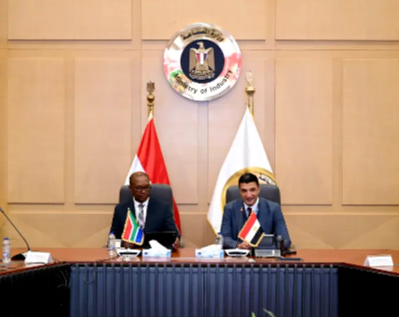 مصر وجنوب إفريقيا تبحثان توقيع مذكرة تفاهم لتطوير صناعة السيارات