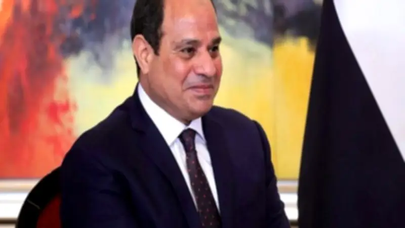 تفاصيل القمة المصرية البرازيلية: زيادة التبادل التجاري أبرز الملفات