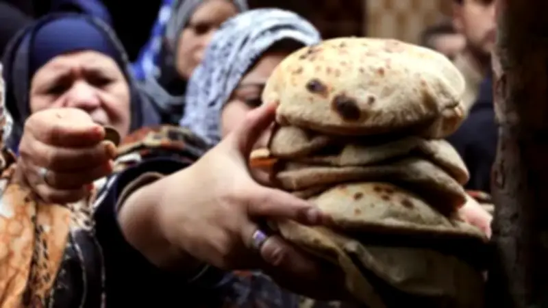 مع بدء تطبيق الدعم النقدي.. كيف سيشتري المصريون الخبز؟ تساؤلات مهمة قبل تشغيل المنظومة الجديدة