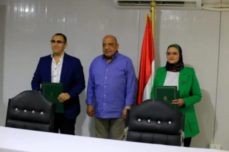 وزير الكهرباء يكلف رئيساً للوصول بمساهمة الطاقة المتجددة لـ45% في عامين