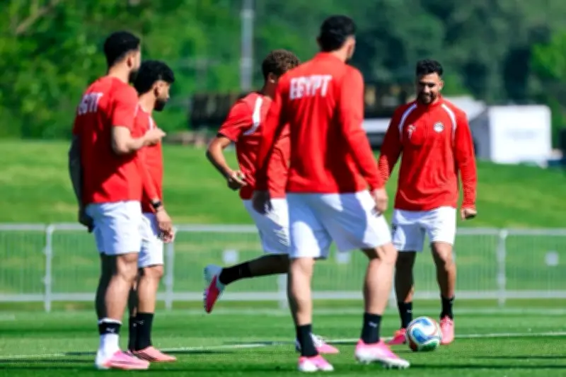 تفوق تاريخي للفراعنة أمام بلجيكا قبل مواجهة الليلة