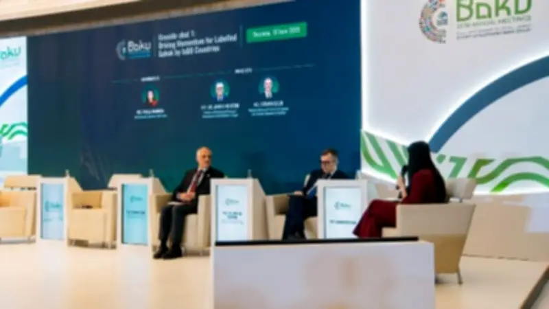 وزير التخطيط: برنامج طموح لإصدار صكوك سيادية دولية بـ5 مليارات دولار