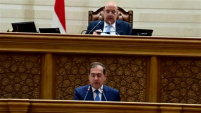 النواب يوافق نهائياً على انضمام مصر لمبادرة الشرق الأوسط الأخضر