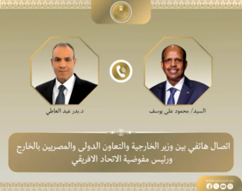 وزير الخارجية يؤكد دعم مصر لدور مفوضية الاتحاد الإفريقي في دفع التكامل القاري