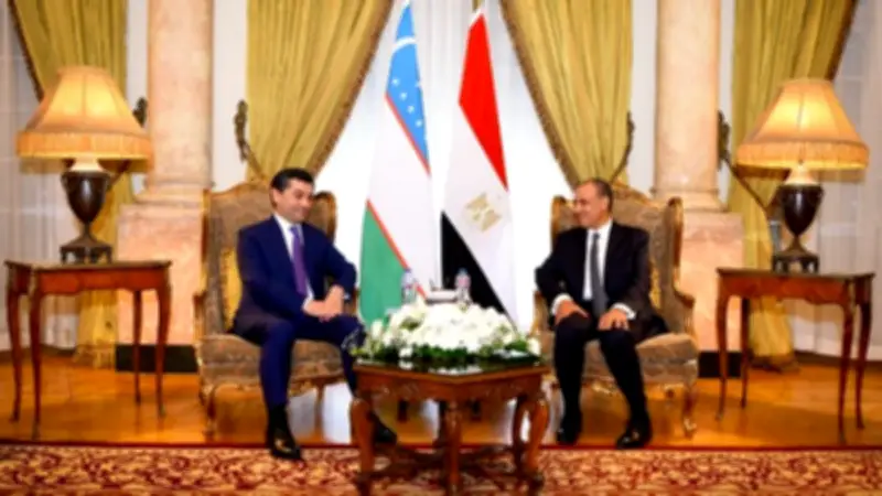 وزير الخارجية يبحث مع نظيره الأوزبكي تعزيز التعاون الاقتصادي والاستثماري