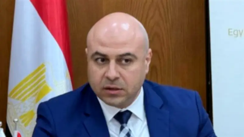 الجمعية المصرية اللبنانية تشيد بإصلاحات الضريبة على القيمة المضافة