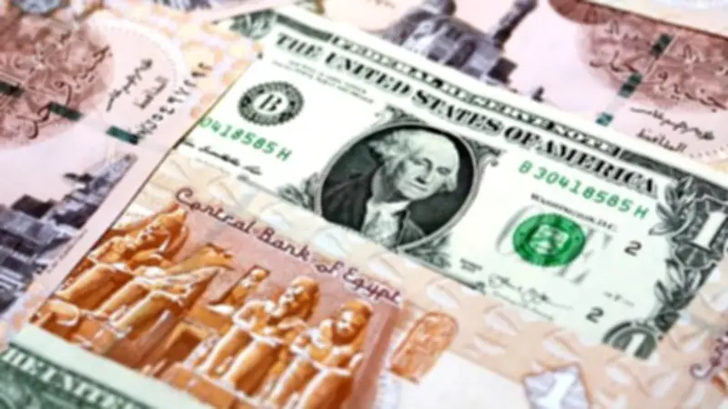 تعافي الجنيه المصري وتراجع الدولار: تفاصيل أسعار العملات اليوم الأربعاء 17 يونيو 2026