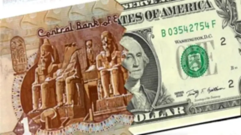 استقرار سعر الدولار أمام الجنيه المصري اليوم السبت 13 يونيو 2026
