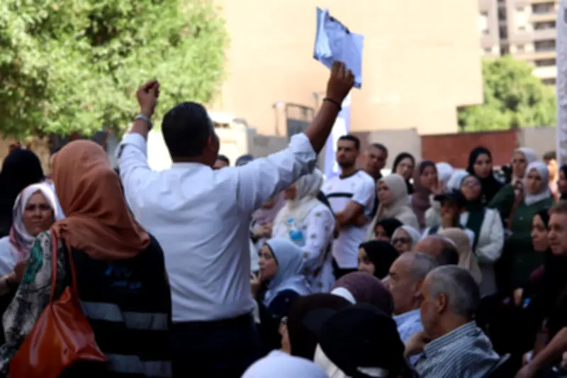 مجلس الشباب المصري 30 يونيو: مسار جديد لإعادة بناء الدولة على أسس الاستقرار