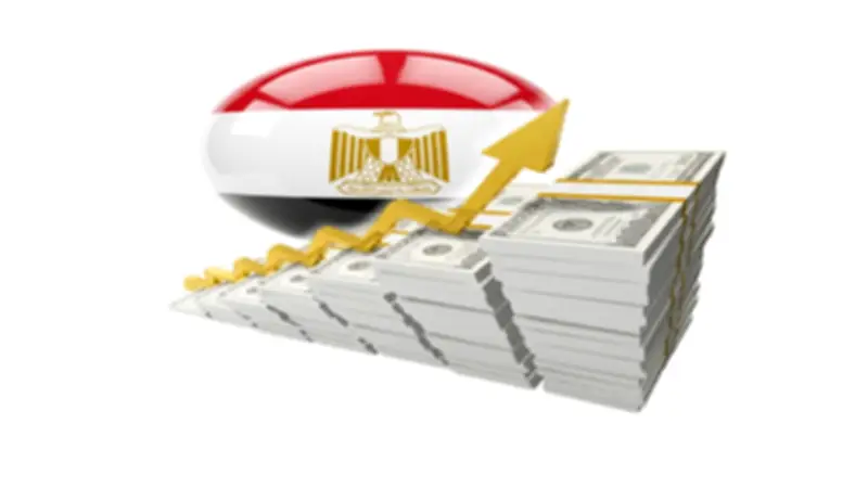 تحويلات المصريين بالخارج: انتماء وشهادة ثقة في الاقتصاد الوطني