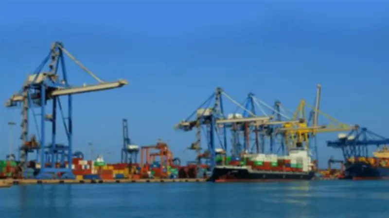 النقل تنفي استحواذ الإماراتيين على الإسكندرية لتداول الحاويات