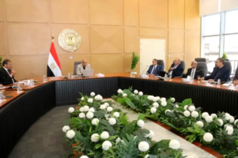 وزير الكهرباء: تعزيز الشبكة وإدخال بطاريات تخزين الطاقة لأول مرة