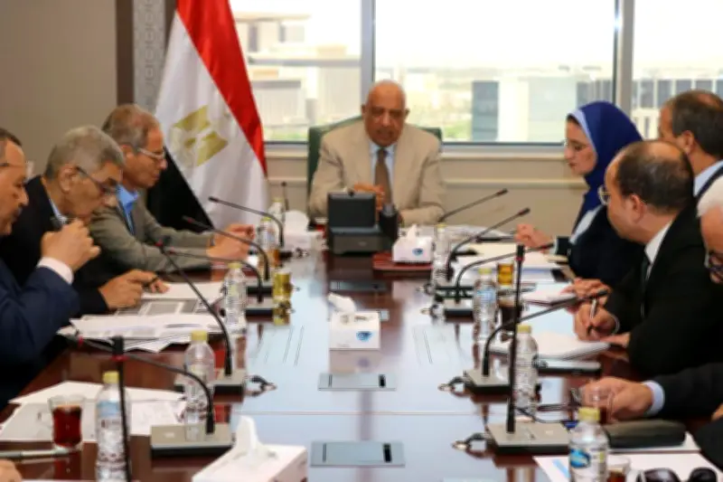وزير الكهرباء يصدر بيانًا مهمًا حول ارتفاع الأحمال الصيفية