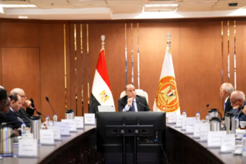 صندوق الطوارئ يقدم إعانات لـ441 ألف عامل بـ2.557 مليار جنيه