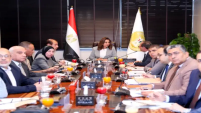 وزيرة البيئة: تعميم سجل البيانات البيئية الموحد على المنشآت الصناعية