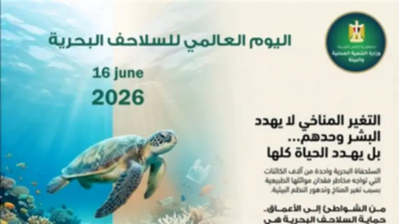 وزيرة البيئة: حماية السلاحف البحرية ضرورة للحفاظ على التنوع البيولوجي