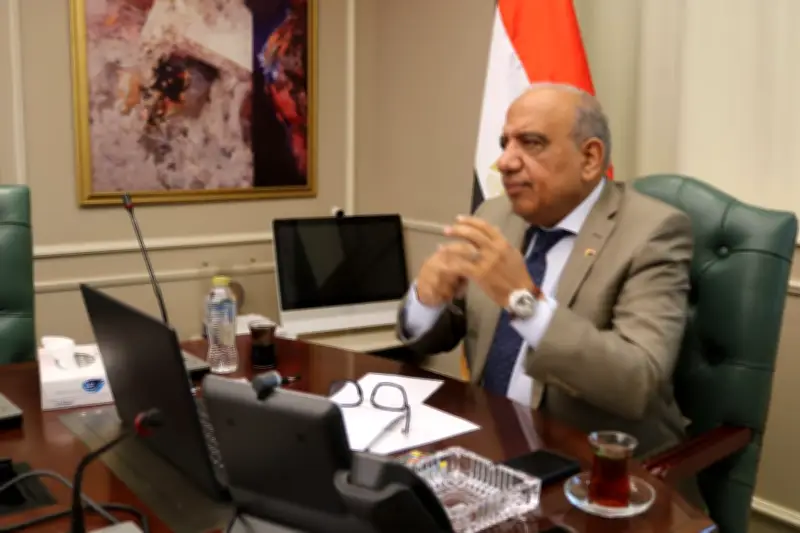 عصمة البنك الأوروبي شريك نجاح رئيسي في تطوير شبكة الكهرباء ومشروعات الطاقة