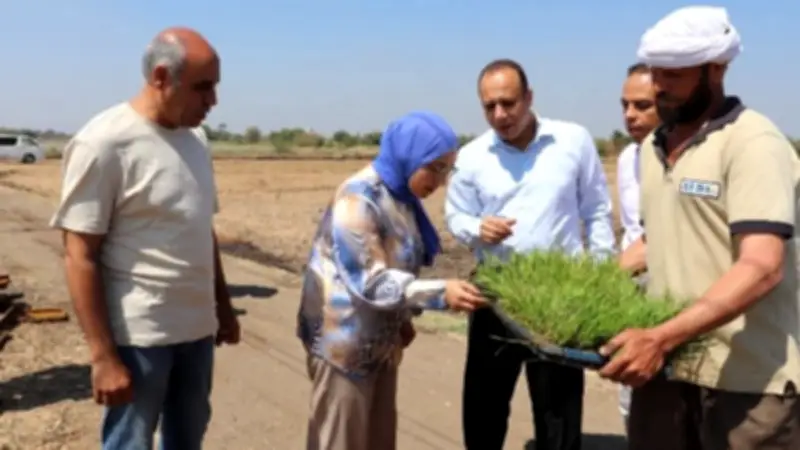 كلية الزراعة بمشتهر تطلق موسم زراعة الأرز بالمزرعة البحثية لدعم الدراسات التطبيقية