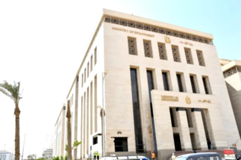 حصاد جهود شئون المديريات بالأوقاف: 12 شهرًا من الإنجازات بالأرقام