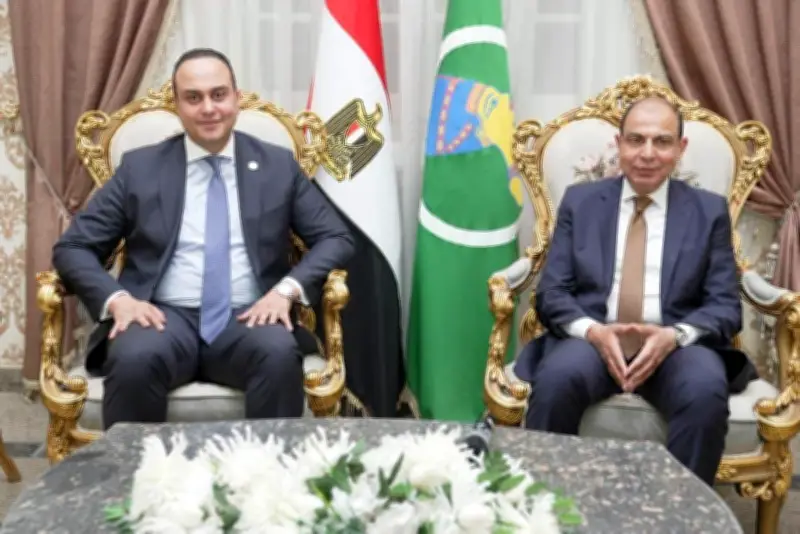 رئيس هيئة الرعاية الصحية يشيد بجهود محافظ المنيا في تسريع التأمين الصحي الشامل