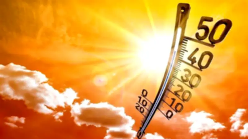 طقس حار ورطب حتى الخميس.. الأرصاد تحذر من شبورة صباحية