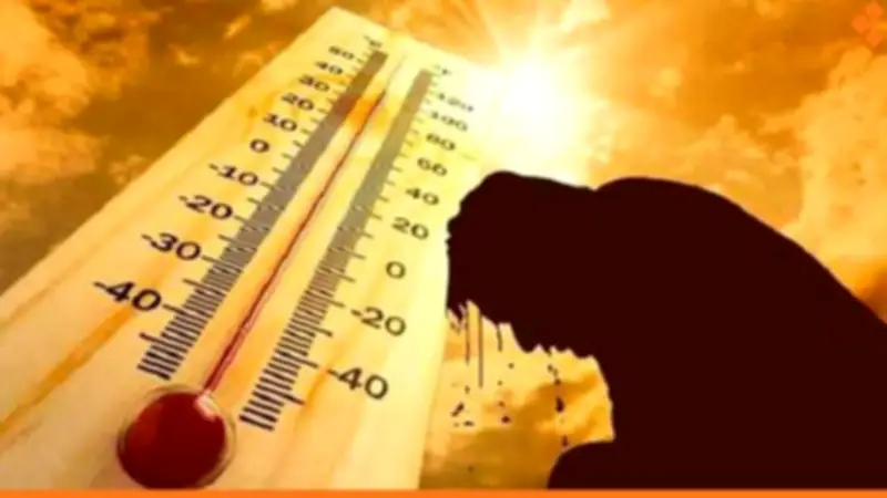 الرطوبة تصل لـ100%.. الأرصاد تحذر من الإجهاد الحراري وضيق التنفس