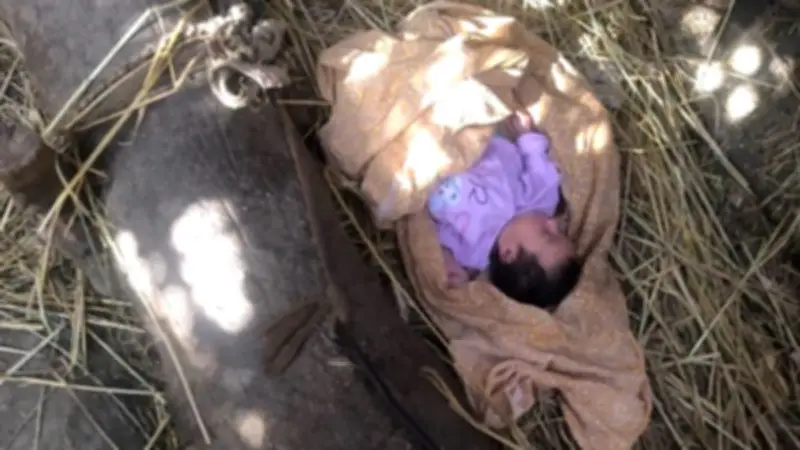 عثور على طفلة رضيعة بجوار عشة بأرض زراعية في الغربية