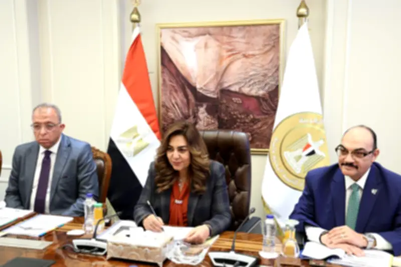 انتهاء مقابلات 55% من المتقدمين للوظائف الشاغرة في التنمية المحلية