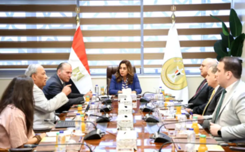 وزيرة التنمية المحلية تبحث آليات دعم المشروعات الصغيرة بالمحافظات