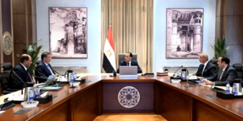 مدبولي: توجيهات رئاسية بالاهتمام بملف الأمن الغذائي وتوفير السلع