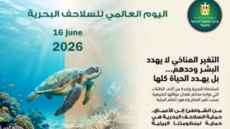 وزيرة التنمية المحلية: حماية السلاحف البحرية استثمار في صحة النظم البيئية