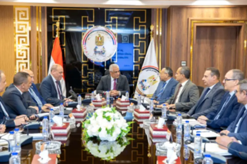 وزير الإنتاج الحربي: حريصون على تنفيذ التوجيهات الرئاسية للاستغلال الأمثل للأصول
