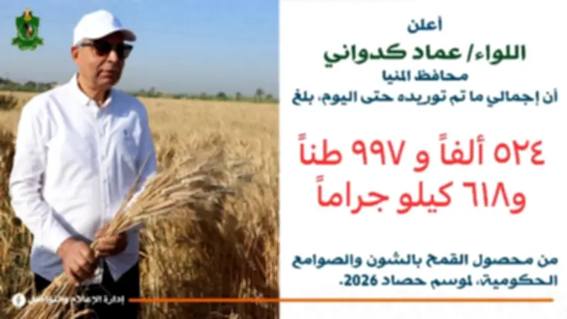 محافظ المنيا: توريد 525 ألف طن قمح محلي منذ بدء موسم الحصاد 2026