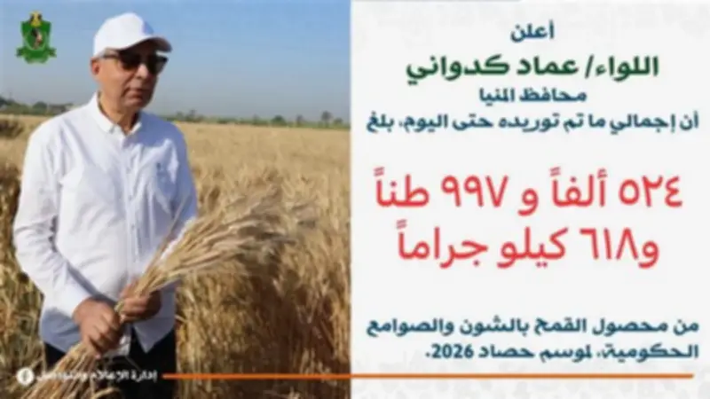 محافظ المنيا: توريد 525 ألف طن من القمح المحلي منذ بدء موسم الحصاد 2026