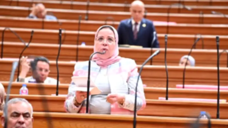 عضو برلماني: المرحلة الحالية تتطلب زيادة الاعتماد على القطاعات الإنتاجية