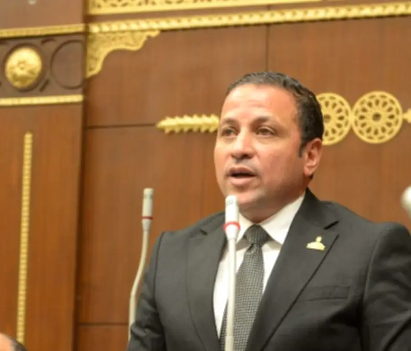 نقص المرافق الأساسية: برلماني يطالب بتحقيق العدالة التنموية لأهالي الصعيد