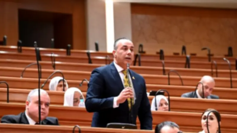 برلماني: زيادة الصادرات هدف مهم.. لكن حماية المصانع المصرية ضرورة