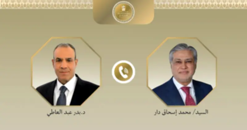 وزير خارجية باكستان يعبر عن تقديره للدور المصري في المنطقة