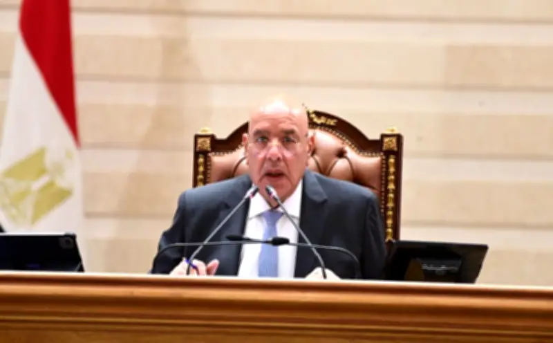 النواب يُحيل تعديل قانون المجلس القومي لحقوق الإنسان للجنة مشتركة